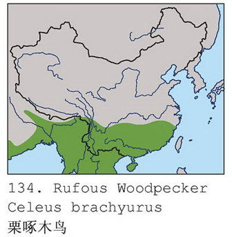 栗啄木鸟的地理分布图