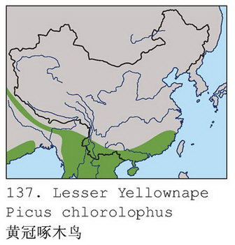 黄冠啄木鸟的地理分布图