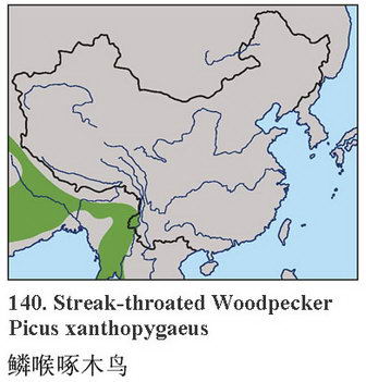 鳞喉绿啄木鸟的地理分布图