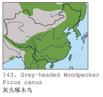 灰头绿啄木鸟的地理分布图