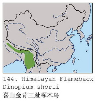 喜山金背三趾啄木鸟的地理分布图