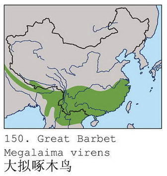 大拟啄木鸟的地理分布图