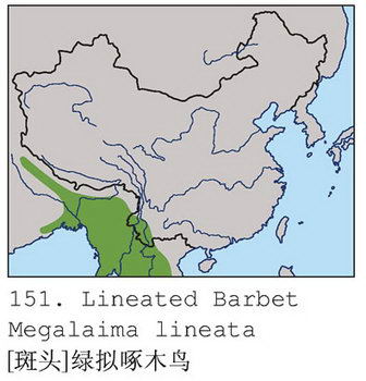 [斑头]绿拟啄木鸟的地理分布图