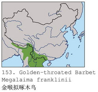 金喉拟啄木鸟的地理分布图