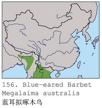 蓝耳拟啄木鸟的地理分布图