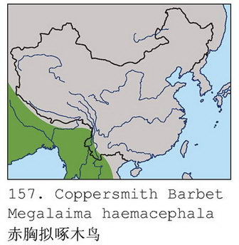 赤胸拟啄木鸟的地理分布图