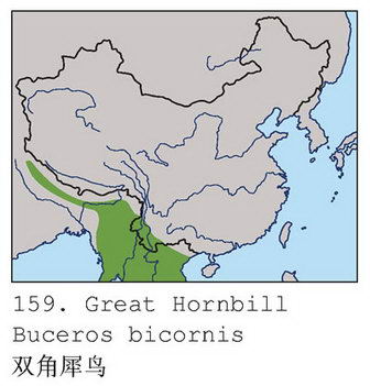 双角犀鸟的地理分布图