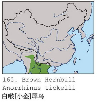 白喉犀鸟的地理分布图