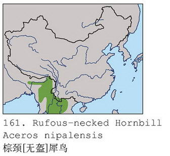 棕颈犀鸟的地理分布图