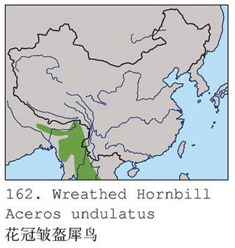 花冠皱盔犀鸟的地理分布图