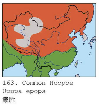 戴胜的地理分布图