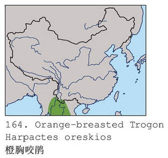 橙胸咬鹃的地理分布图