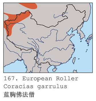 蓝胸佛法僧的地理分布图