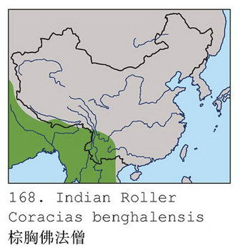 棕胸佛法僧的地理分布图