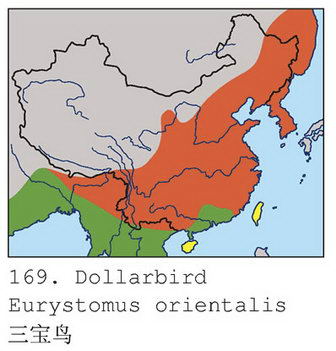 三宝鸟的地理分布图