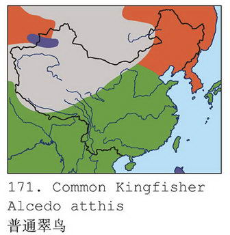 普通翠鸟的地理分布图