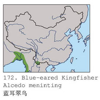 蓝耳翠鸟的地理分布图