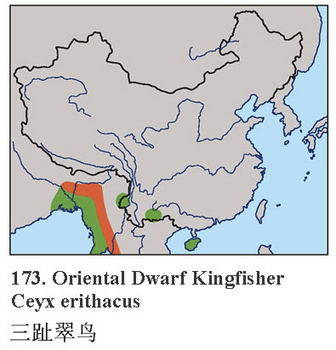 三趾翠鸟的地理分布图