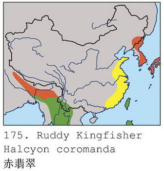 赤翡翠的地理分布图