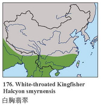 白胸翡翠的地理分布图