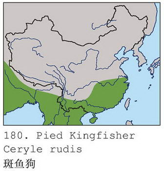 斑鱼狗的地理分布图