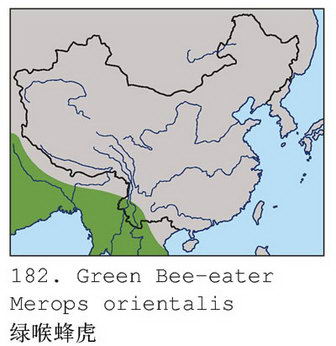 绿喉蜂虎的地理分布图