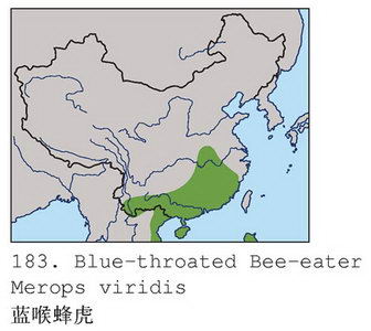 蓝喉蜂虎的地理分布图