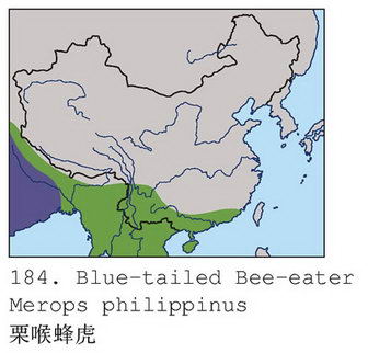 栗喉蜂虎的地理分布图