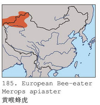 黄喉蜂虎的地理分布图