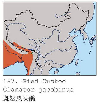 斑翅凤头鹃的地理分布图