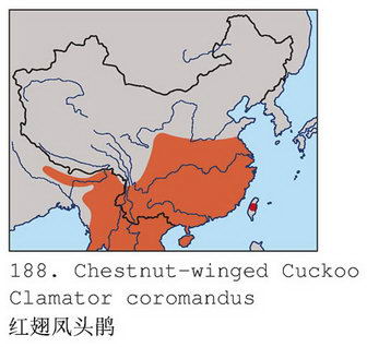 红翅凤头鹃的地理分布图