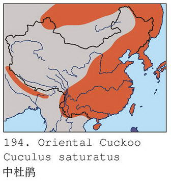 中杜鹃的地理分布图