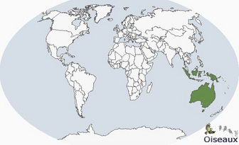彩虹鹦鹉的地理分布图