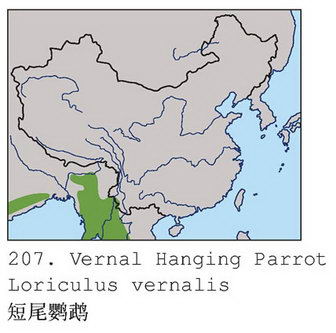 短尾鹦鹉的地理分布图