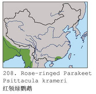 红领绿鹦鹉的地理分布图