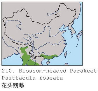 花头鹦鹉的地理分布图