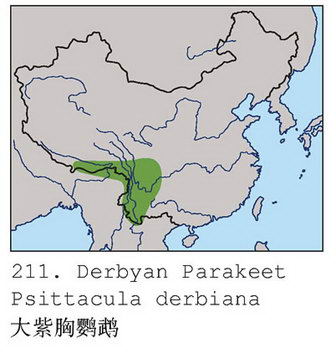 大紫胸鹦鹉的地理分布图