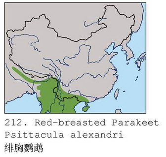 绯胸鹦鹉的地理分布图