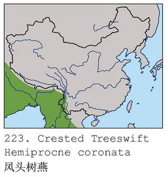 凤头树燕的地理分布图