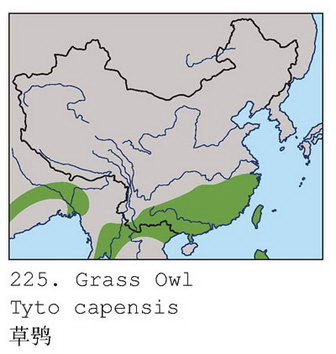 草鸮的地理分布图