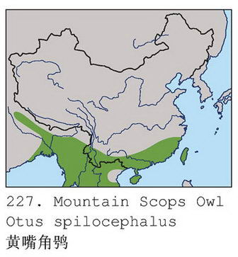 黄嘴角鸮的地理分布图