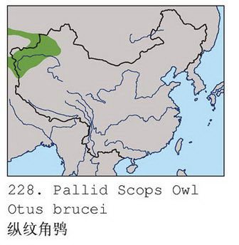 纵纹角鸮的地理分布图