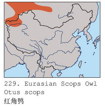 红角鸮的地理分布图