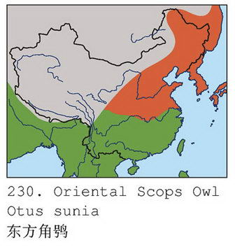 东方角鸮的地理分布图