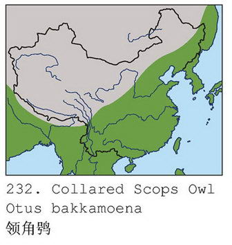 领角鸮的地理分布图