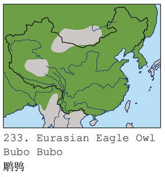 雕鸮的地理分布图