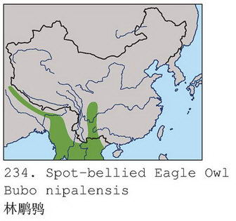 林雕鸮的地理分布图