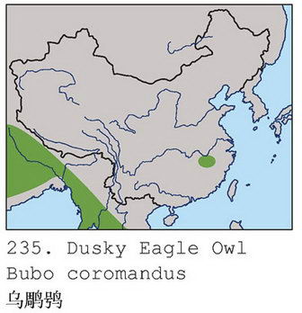 乌雕鸮的地理分布图