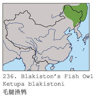 毛腿渔鸮的地理分布图