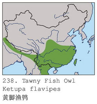 黄脚渔鸮的地理分布图